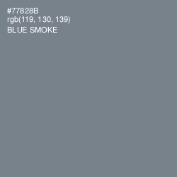 #77828B - Blue Smoke Color Image