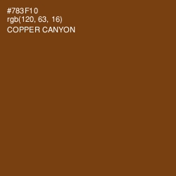 #783F10 - Copper Canyon Color Image