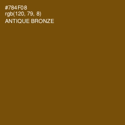 #784F08 - Antique Bronze Color Image