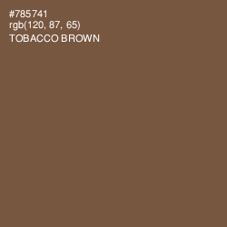 #785741 - Tobacco Brown Color Image
