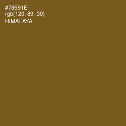 #78591E - Himalaya Color Image