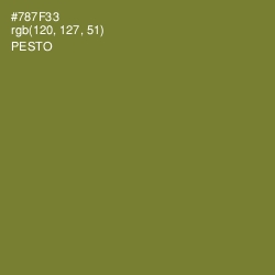 #787F33 - Pesto Color Image