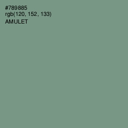 #789885 - Amulet Color Image