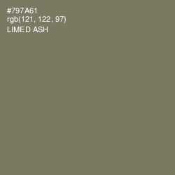 #797A61 - Limed Ash Color Image
