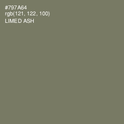 #797A64 - Limed Ash Color Image