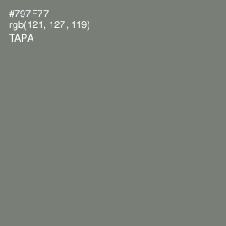 #797F77 - Tapa Color Image