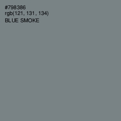 #798386 - Blue Smoke Color Image