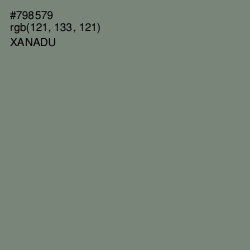 #798579 - Xanadu Color Image