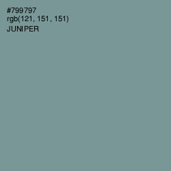#799797 - Juniper Color Image