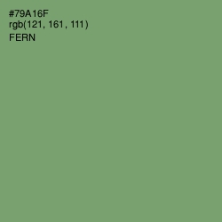 #79A16F - Fern Color Image