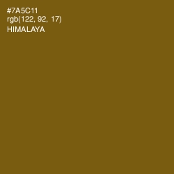 #7A5C11 - Himalaya Color Image