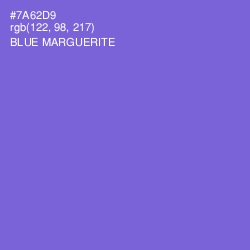 #7A62D9 - Blue Marguerite Color Image