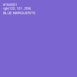#7A65D1 - Blue Marguerite Color Image