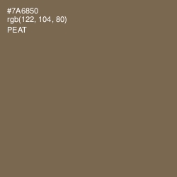 #7A6850 - Peat Color Image