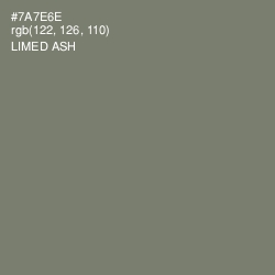 #7A7E6E - Limed Ash Color Image