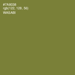 #7A8038 - Wasabi Color Image