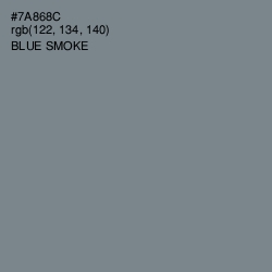 #7A868C - Blue Smoke Color Image