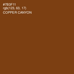 #7B3F11 - Copper Canyon Color Image