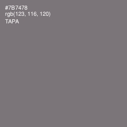 #7B7478 - Tapa Color Image