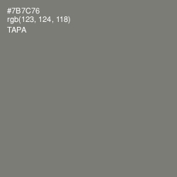 #7B7C76 - Tapa Color Image