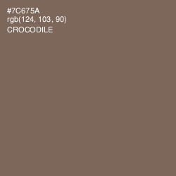 #7C675A - Crocodile Color Image