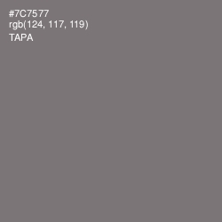 #7C7577 - Tapa Color Image