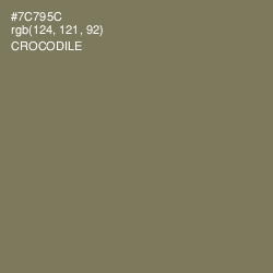 #7C795C - Crocodile Color Image
