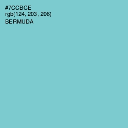 #7CCBCE - Bermuda Color Image