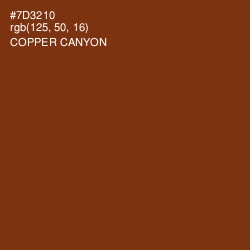 #7D3210 - Copper Canyon Color Image