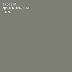 #7D7E74 - Tapa Color Image