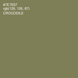 #7E7E57 - Crocodile Color Image