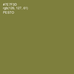 #7E7F3D - Pesto Color Image