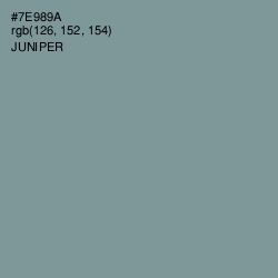 #7E989A - Juniper Color Image