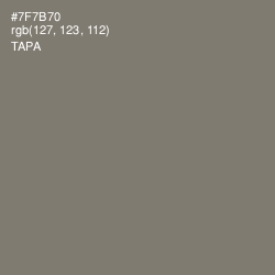 #7F7B70 - Tapa Color Image