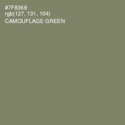 #7F8368 - Camouflage Green Color Image