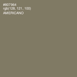 #807964 - Americano Color Image