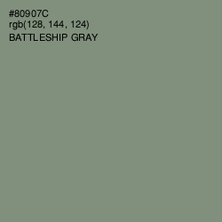 #80907C - Battleship Gray Color Image