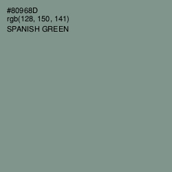 #80968D - Spanish Green Color Image