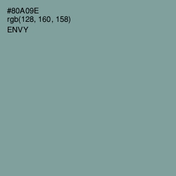 #80A09E - Envy Color Image
