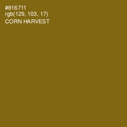 #816711 - Corn Harvest Color Image