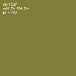 #817C37 - Kumera Color Image