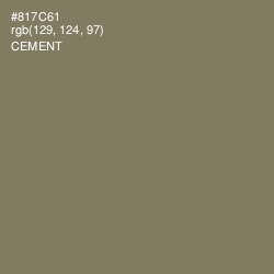 #817C61 - Cement Color Image