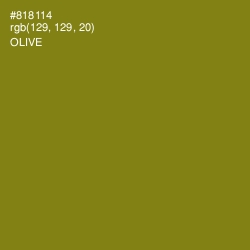 #818114 - Olive Color Image