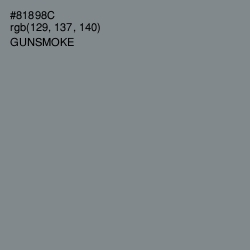 #81898C - Gunsmoke Color Image