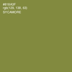#818A3F - Sycamore Color Image