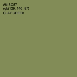 #818C57 - Clay Creek Color Image