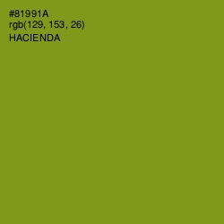 #81991A - Hacienda Color Image