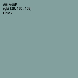 #81A09E - Envy Color Image