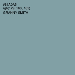 #81A0A5 - Granny Smith Color Image