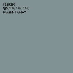 #829293 - Regent Gray Color Image